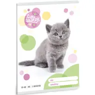 Ars Una: Animali carini - Gatto British Shorthair quaderno a righe per la 3ª classe 32 pagine A/5