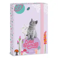 Ars Una: Animali carini - Scatola portadocumenti A4 con gatti