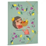 Ars Una: Cartella elastica A/4 con riccio Apple Pie