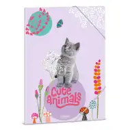Ars Una: Cartella elastica A4 con gattino Cute Animal