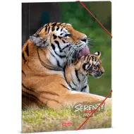 Ars Una: Cartella elastica Serenity Tiger, formato A/4