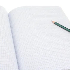 Ars Una: Catalina Estrada Parrot quaderno a quadretti con graffette extra, 40 fogli, formato A4 immagine 2
