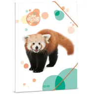 Ars Una: Cute Animals - Cartella elastica con panda rosso carino, formato A4