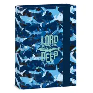 Ars Una: Lord of the Deep scatola per quaderni A/5
