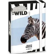 Ars Una: Máté Bence scatola portadocumenti zebra A/5