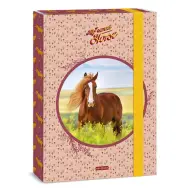Ars Una: My Sweet Horse Cartella A4 per quaderni