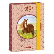 Ars Una: My Sweet Horse scatola per quaderni A5
