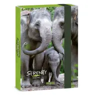 Ars Una: Serenity Elefante astuccio formato A5