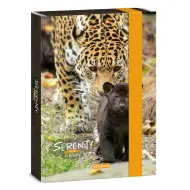 Ars Una: Serenity Jaguar cartellina formato A5