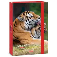 Ars Una: Serenity Tiger - scatola per quaderni A4 con tigre, spessore del dorso 4 cm