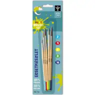 Ars Una: set di pennelli da 5 pezzi