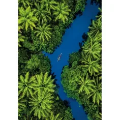 Avventura tropicale puzzle compatto HQC da 500 pezzi - Clementoni immagine 2