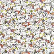 Cardex: Carta da regalo con motivo di uccelli allegri 100x70cm