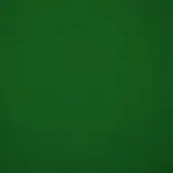 Carta verde lucida bifacciale 50x70cm 250g