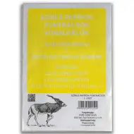 Carte colorate, griglie di punti e reticoli per la 1ª classe.