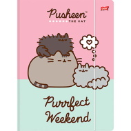 Cartellina elastica Pusheen formato A4