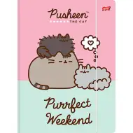 Cartellina elastica Pusheen formato A4