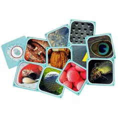 Cortex 2 IQ party gioco da tavolo immagine 3