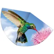 Deltaplano colibrì