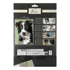 Dipingi con i numeri 33,5x23,8 cm - Cane immagine 2
