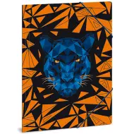 Dossier Black Panther A/4
