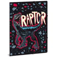 Dossier Raptor A/4