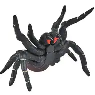 Figura del ragno imbuto di Sydney