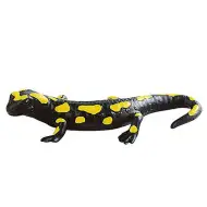 Figura di gioco di salamandra pezzata