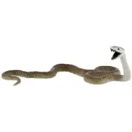 Figura di serpente mamba nero - Bullyland