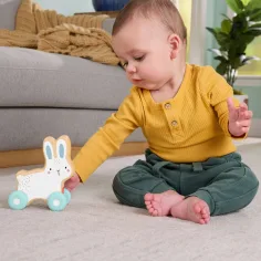 Fisher-Price: Coniglio con leva in legno - Mattel immagine 3