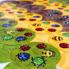 Gioco educativo Danza degli insetti immagine 5