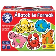 Gioco educativo sugli animali e le forme