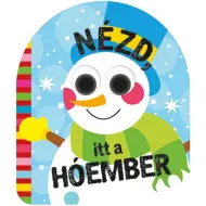 Guarda! Ecco il libro a fogli mobili del pupazzo di neve.