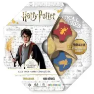 Harry Potter: Vero o Falso? gioco da tavolo