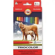 ICO: Koh-I-Noor 3144 Triocolor matite colorate set da 24 pezzi