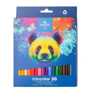 ICO: Koh-I-Noor 3145 Matite colorate esagonali in scatola con orso, 36 pezzi