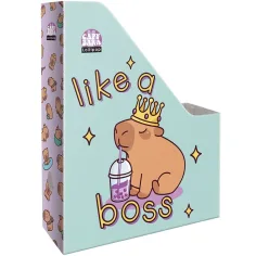 ICO: Lizzysuli Lollipop cartella portadocumenti in cartone con fantasia capybara A4