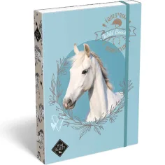 ICO: Lizzysuli Wild Beauty Sport Club scatola per quaderni A4 a fantasia
