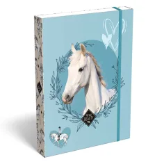 ICO: Lizzysuli Wild Beauty Sport Club scatola porta quaderni a fantasia A5