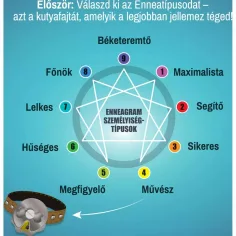 Il gioco da tavolo "È la vita di un cane" immagine 3
