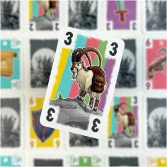 Il gioco da tavolo "Il tesoro della Fenice" immagine 5