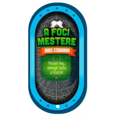 Il maestro del calcio - Stadi famosi immagine 1