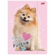 Il mio piccolo amico dolce volpino di Pomerania, cartella con elastico, formato A4