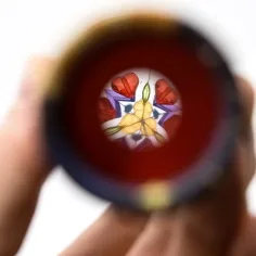 Kaleidoscopio di animali in diverse varianti immagine 2