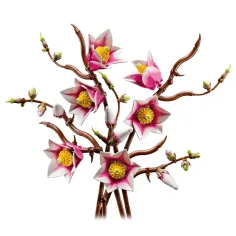 LEGO® Botanicals: Rami di magnolia (11510) immagine 2