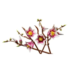 LEGO® Botanicals: Rami di magnolia (11510) immagine 3