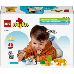 LEGO® DUPLO®: Famiglie di animali nel mondo selvaggio: Pinguini e leoni (10442) immagine 2