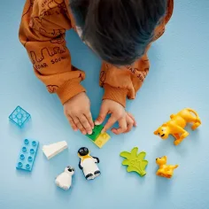 LEGO® DUPLO®: Famiglie di animali nel mondo selvaggio: Pinguini e leoni (10442) immagine 3