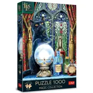 Lisa Parker: Apprendista Strega puzzle premium plus da 1000 pezzi - Trefl