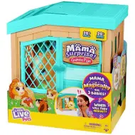 Little Live Pets Mama Surprise porcellino dIndia interattivo con sorpresa